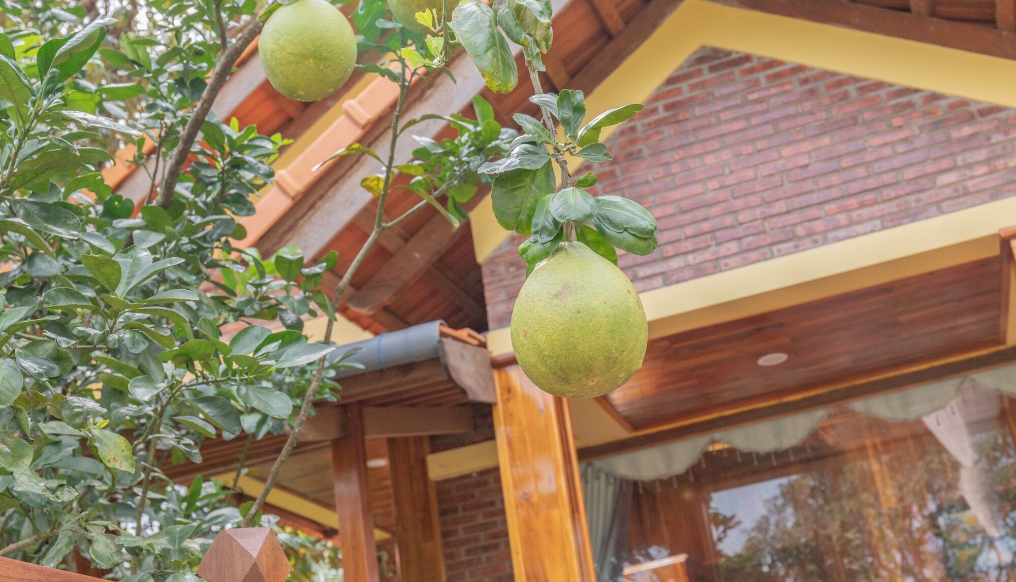 Phu Quoc Pomelo Garden Daire Dış mekan fotoğraf